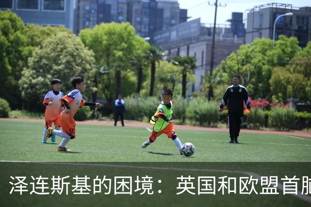 泽连斯基的困境：英国和欧盟首脑的致命影响